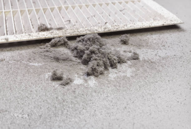 Best Local Air Duct Cleaning Services  in Farmington, IL