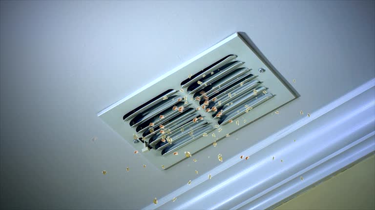 Best Affordable Duct Cleaning Services  in Farmington, IL