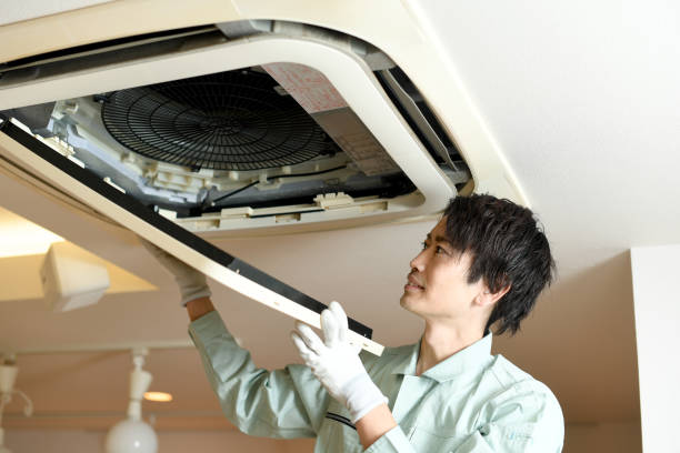 Best Local Air Duct Cleaning Services  in Farmington, IL