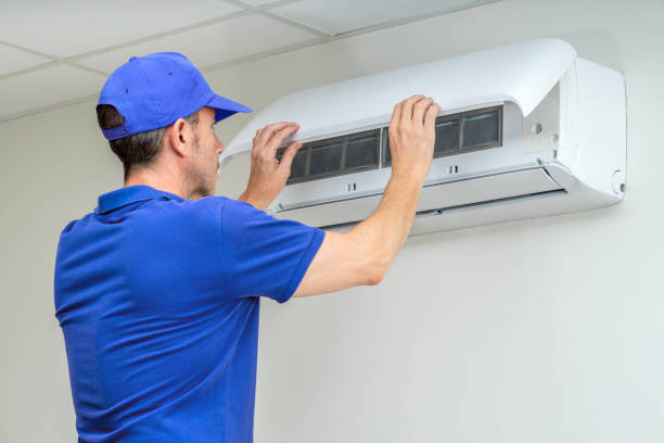 Best Air Duct Mold Removal  in Farmington, IL